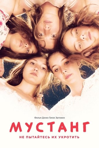 Постер фильма Мустанг смотреть онлайн
