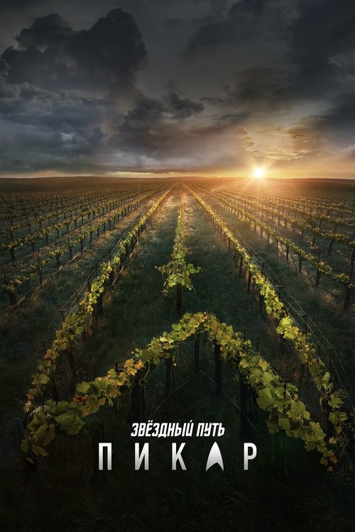 Постер сериала Звёздный путь: Пикар смотреть онлайн