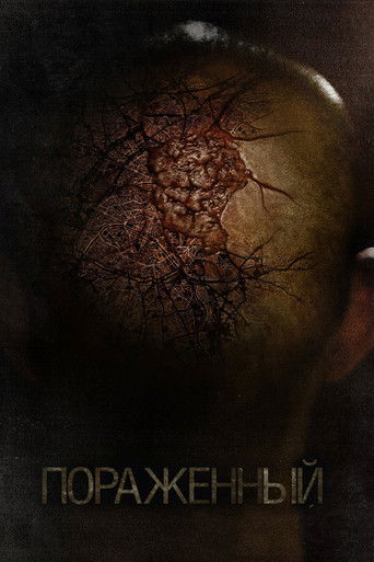 Постер фильма Поражённый смотреть онлайн