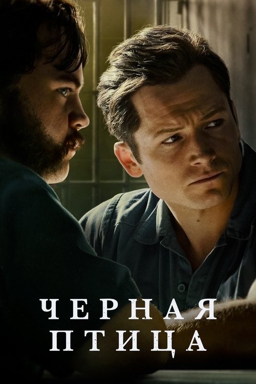 Постер сериала Черная птица смотреть онлайн